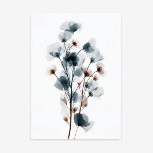 תמונה בוטנית מינימליסטית בסגנון רנטגן בגווני שחור ולבן