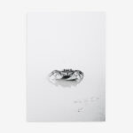 Fine Art Print — coastal-wall-art, crab-photography print